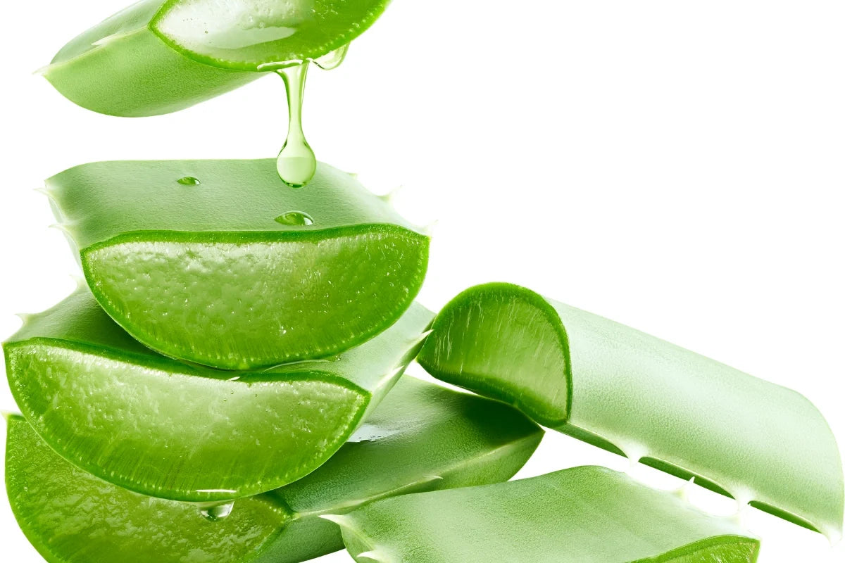 Aloe vera - digestion