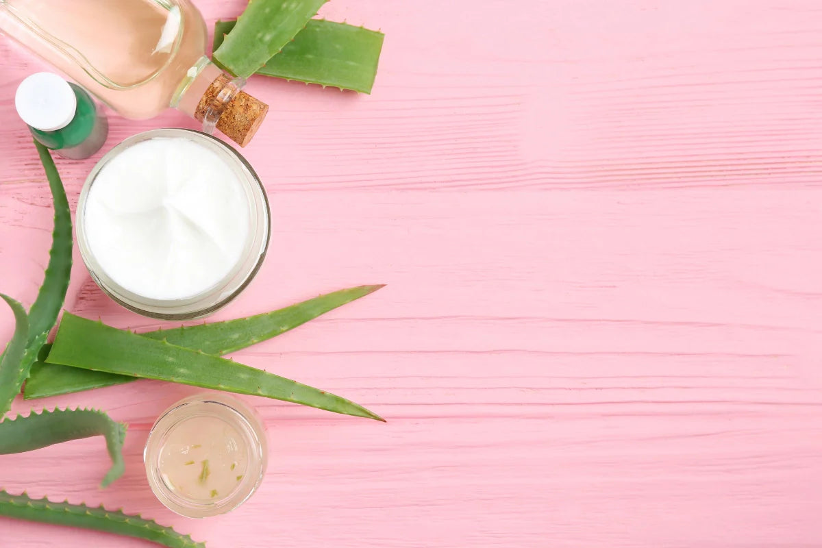 Aloe vera