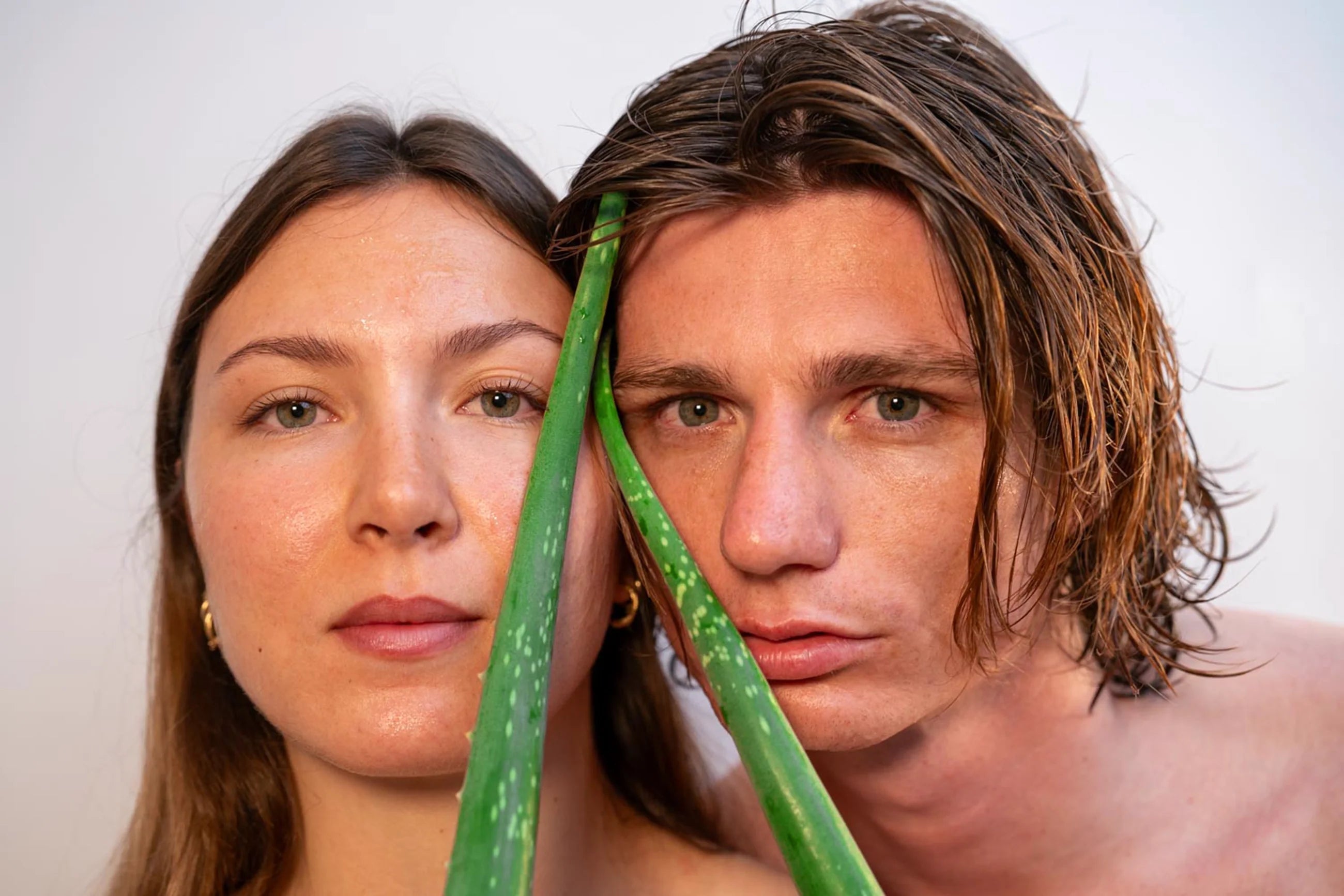 Pellicules : l’aloe vera dans les soins capillaires