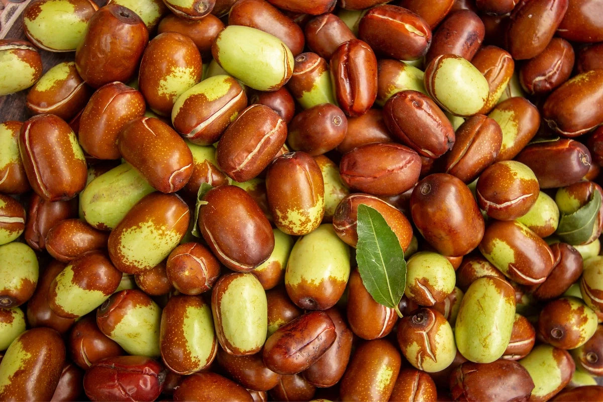 Huile de jojoba