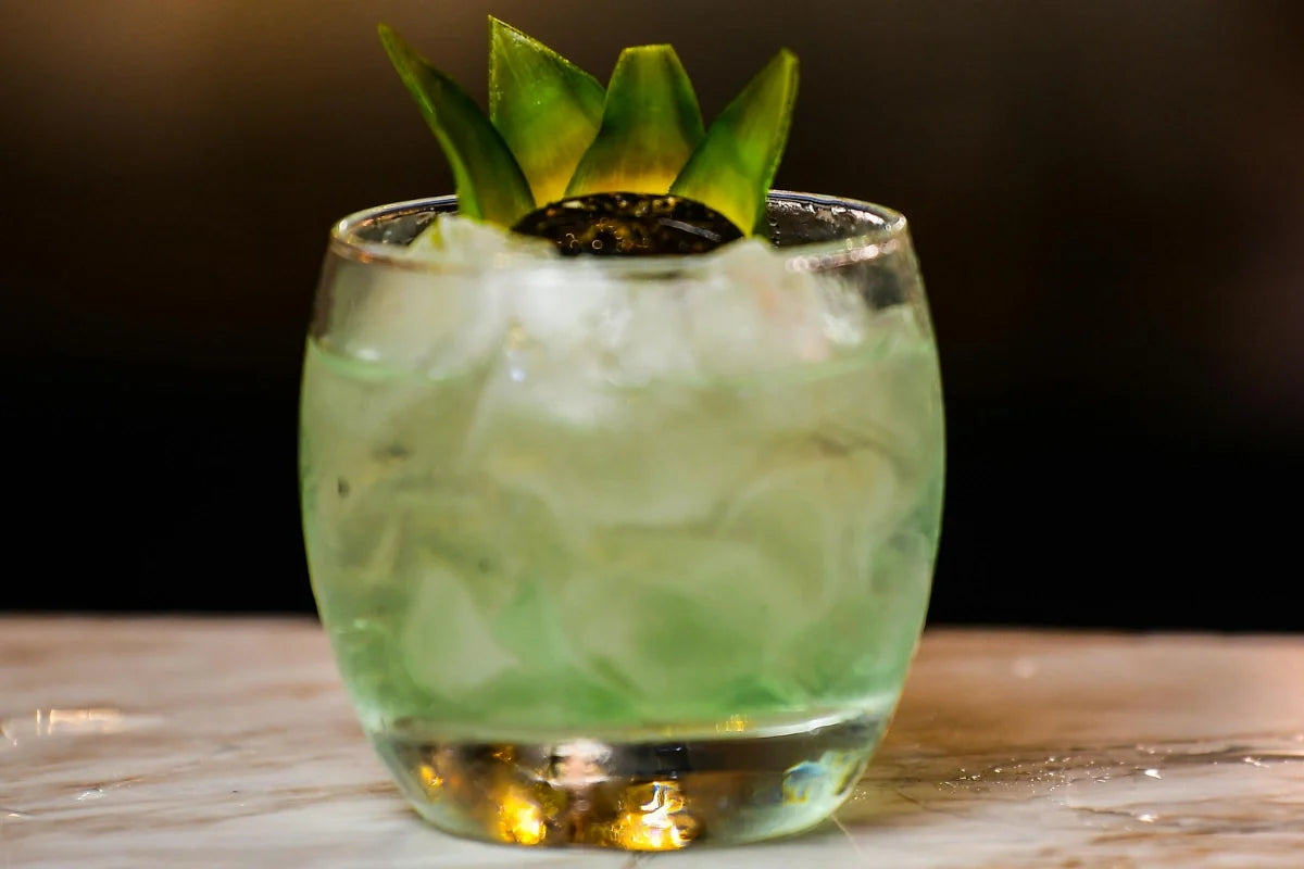 Aloe vera