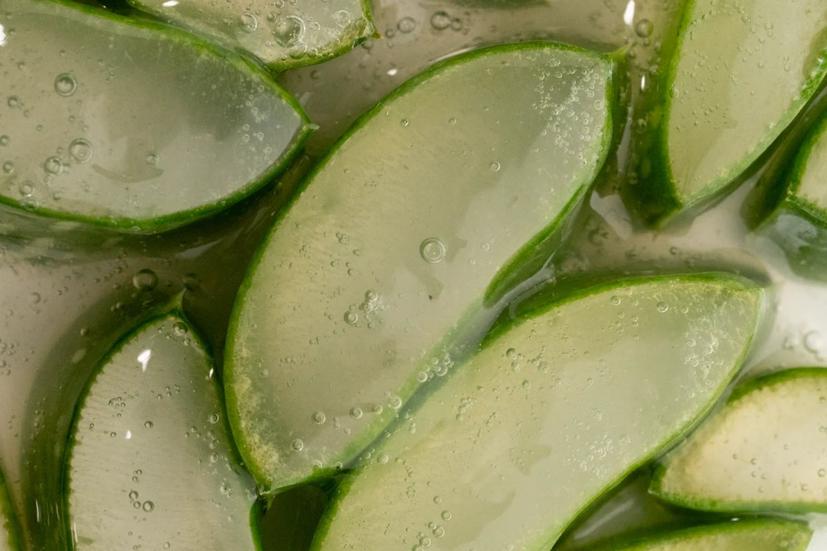 Aloe vera