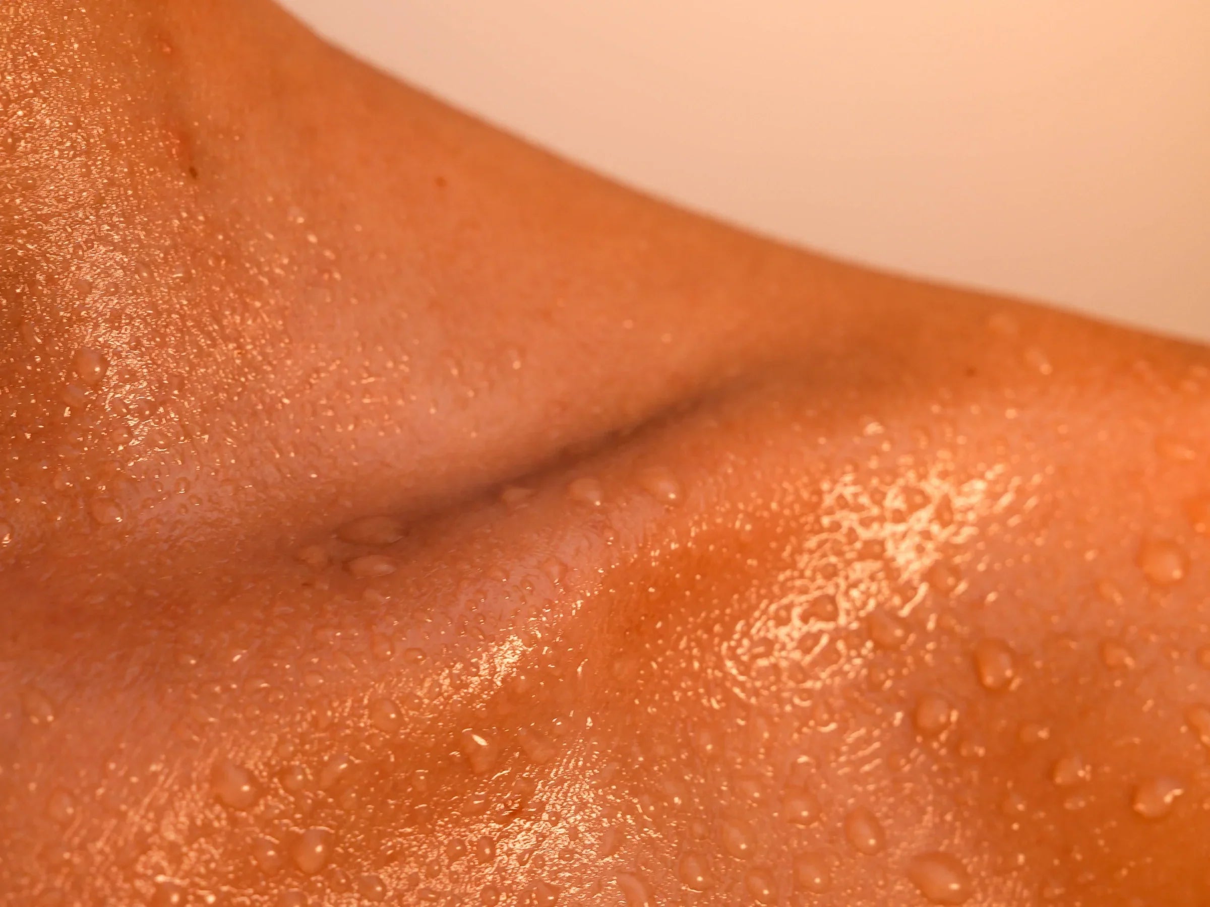 Huile de jojoba